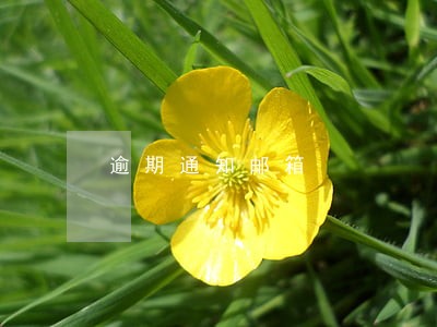 逾期通知邮箱 逾期通知邮箱