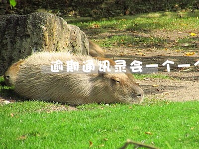 逾期通讯录会一个一个打吗