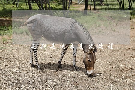 逾期通讯录怎么处理 逾期通讯录怎么处理