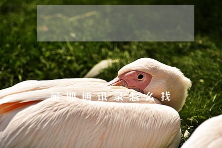 逾期通讯录怎么找 逾期通讯录怎么找