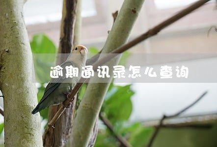 逾期通讯录怎么查询 逾期通讯录怎么查询