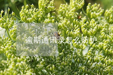 逾期通讯录怎么防护 逾期通讯录怎么防护