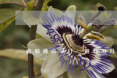 逾期通讯录打一遍有用吗 逾期通讯录打一遍有用吗