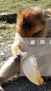 逾期通讯录是全部都打么 逾期通讯录是全部都打么