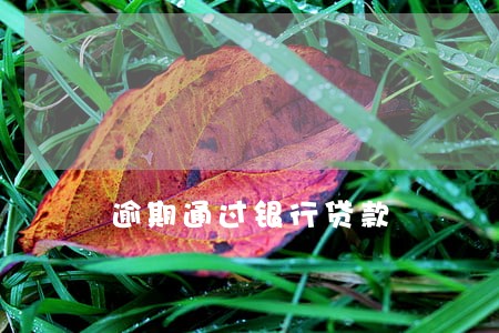 逾期通过银行贷款 逾期通过银行贷款