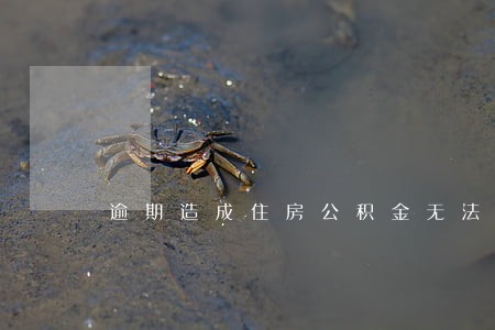 逾期造成住房公积金无法对冲 逾期造成住房公积金无法对冲