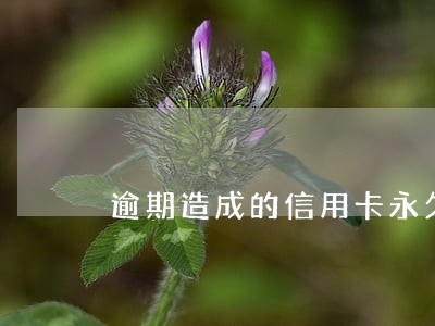 逾期造成的信用卡永久冻结 逾期造成的信用卡永久冻结