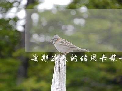 逾期造成的信用卡锁卡等解开吗 逾期造成的信用卡锁卡等解开吗
