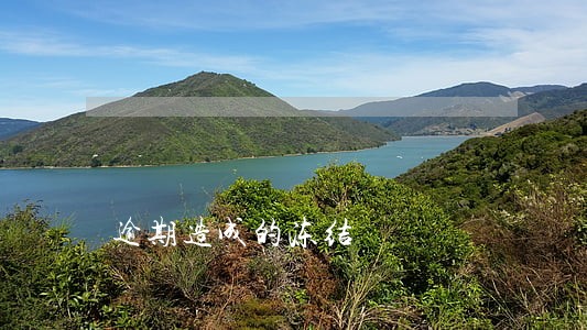 逾期造成的冻结 逾期造成的冻结
