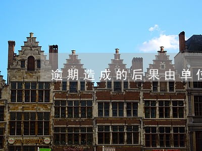 逾期造成的后果由单位自行承担