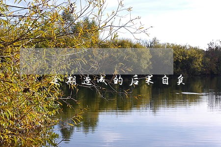 逾期造成的后果自负 逾期造成的后果自负