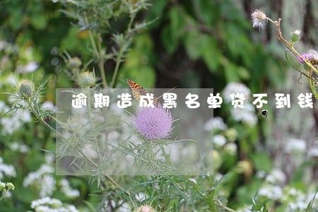 逾期造成黑名单贷不到钱了怎么办