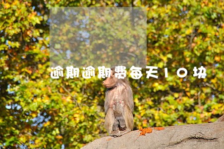 逾期逾期费每天10块 逾期逾期费每天10块