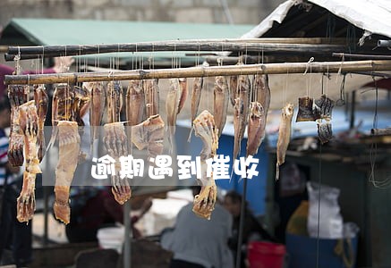 逾期遇到催收 逾期遇到催收