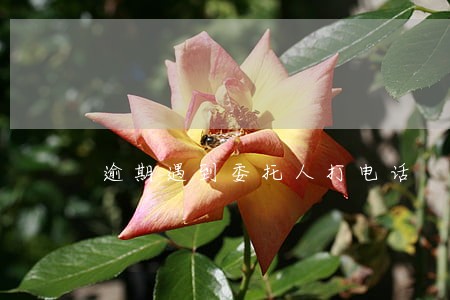 逾期遇到委托人打电话 逾期遇到委托人打电话