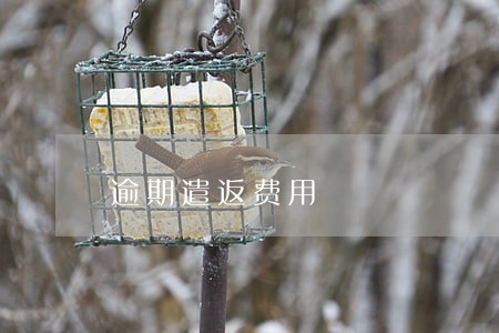 逾期遣返费用 逾期遣返费用