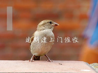 逾期遭上门催收 逾期遭上门催收