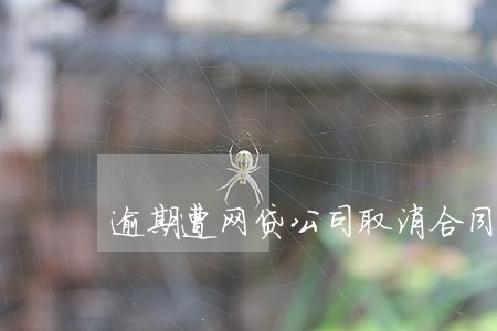 逾期遭网贷公司取消合同 逾期遭网贷公司取消合同