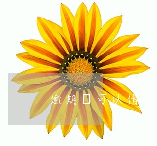 逾期還可以借款的平台 逾期還可以借款的平台