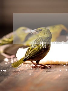 逾期邮寄写的家人电话 逾期邮寄写的家人电话