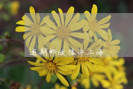 逾期邮政信件上海 逾期邮政信件上海