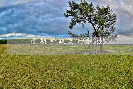 逾期邮政发的快递 逾期邮政发的快递