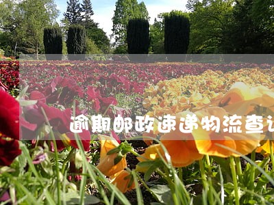 逾期邮政速递物流查询 逾期邮政速递物流查询