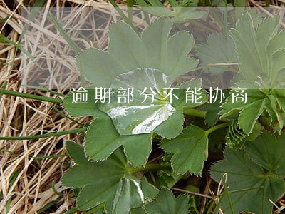 逾期部分不能协商 逾期部分不能协商