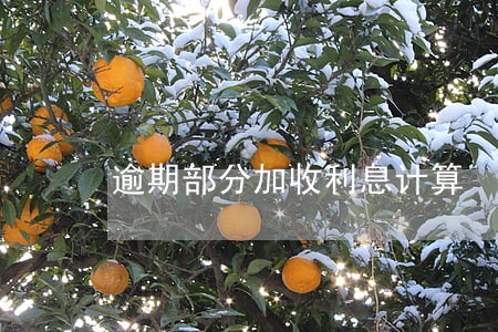 逾期部分加收利息计算 逾期部分加收利息计算
