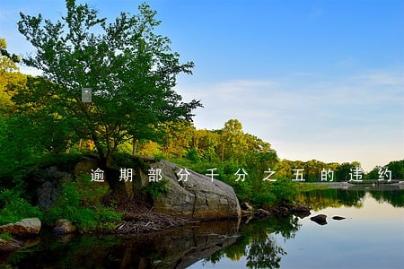 逾期部分千分之五的违约金 逾期部分千分之五的违约金