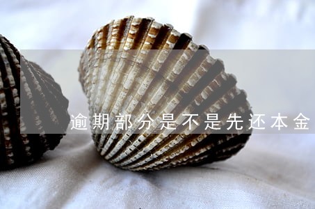 逾期部分是不是先还本金 逾期部分是不是先还本金