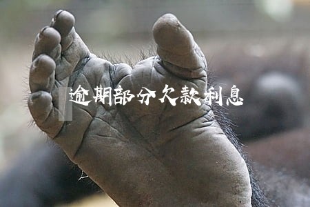 逾期部分欠款利息 逾期部分欠款利息