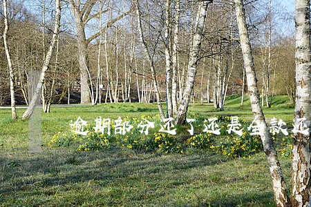逾期部分还了还是全款还了 逾期部分还了还是全款还了