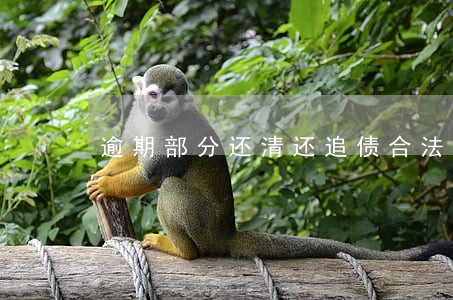 逾期部分还清还追债合法吗 逾期部分还清还追债合法吗