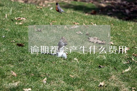 逾期都会产生什么费用 逾期都会产生什么费用
