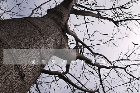 逾期都提不到车可以索赔哪些费用 逾期都提不到车可以索赔哪些费用