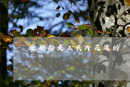逾期都是三天内还进的 逾期都是三天内还进的