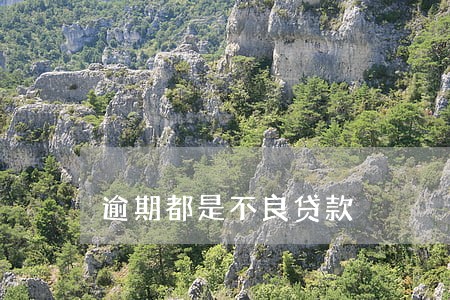 逾期都是不良贷款 逾期都是不良贷款