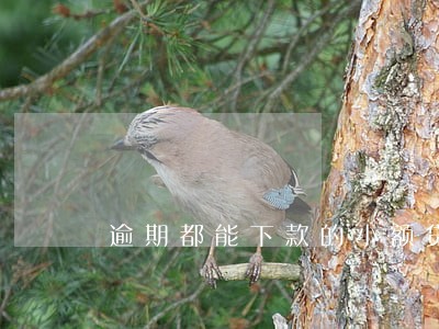 逾期都能下款的小额贷款 逾期都能下款的小额贷款