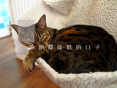 逾期都能借的口子 逾期都能借的口子