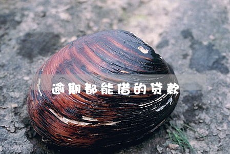 逾期都能借的贷款 逾期都能借的贷款