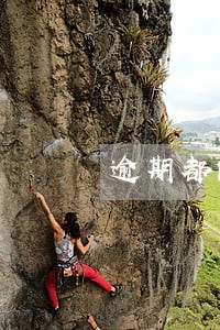 逾期都能借的贷款平台 逾期都能借的贷款平台