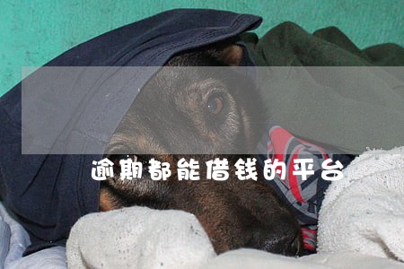 逾期都能借钱的平台