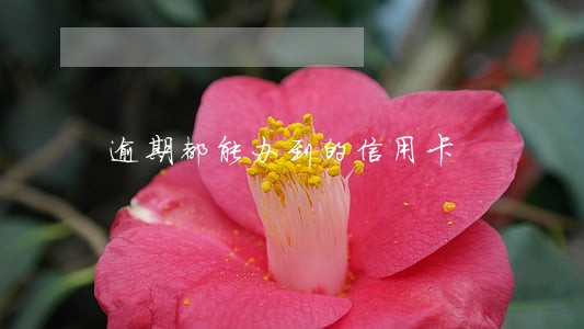逾期都能办到的信用卡