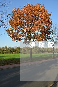 逾期配合工作人员调查取证 逾期配合工作人员调查取证