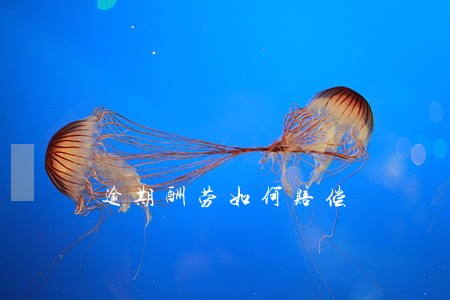 逾期酬劳如何赔偿 逾期酬劳如何赔偿