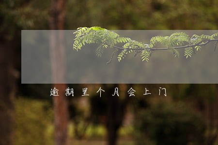 逾期里个月会上门