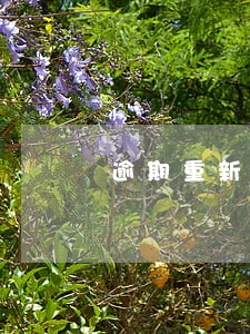 逾期重新申请 逾期重新申请