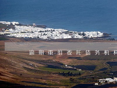 逾期重组委托债务机构 逾期重组委托债务机构