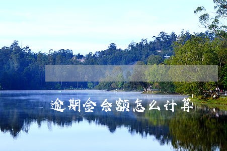 逾期金余额怎么计算 逾期金余额怎么计算